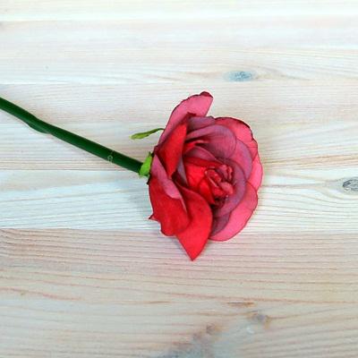 Rózsaszál, piros. Virág átmérője: 50 mm, teljes hossz: 250 mm.