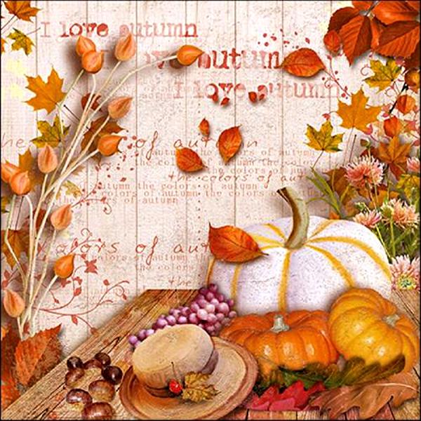 Szalvéta – Colours of autumn