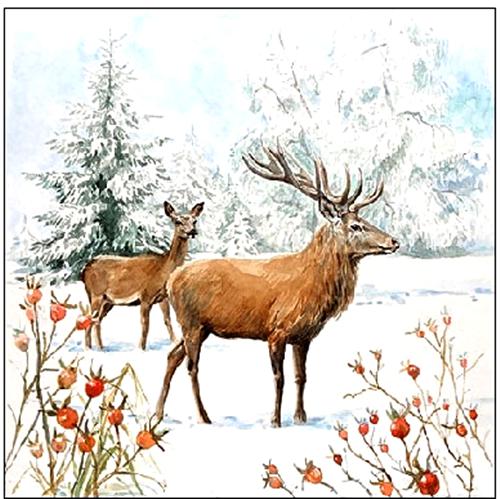 Szalvéta – Deer in snow