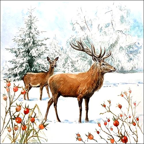 Szalvéta – Deer in snow