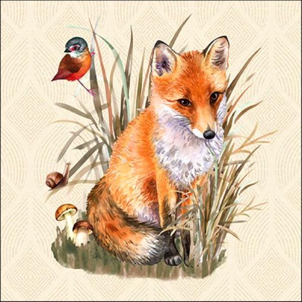 Szalvéta – Fox