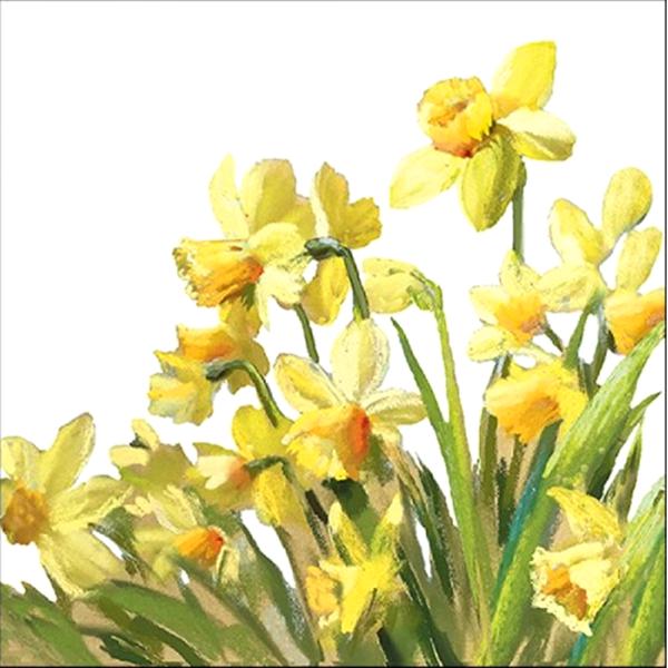 Szalvéta – Golden daffodils