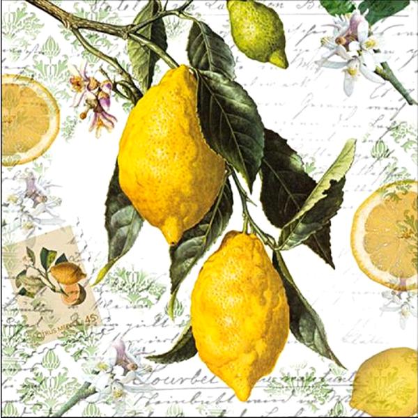 Szalvéta – Lemon