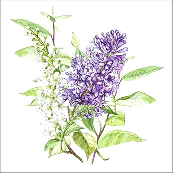 Szalvéta – Lilac white