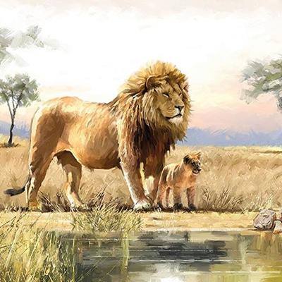 Szalvéta – Lions