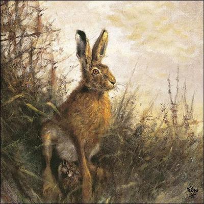 Szalvéta – Portrait of hare