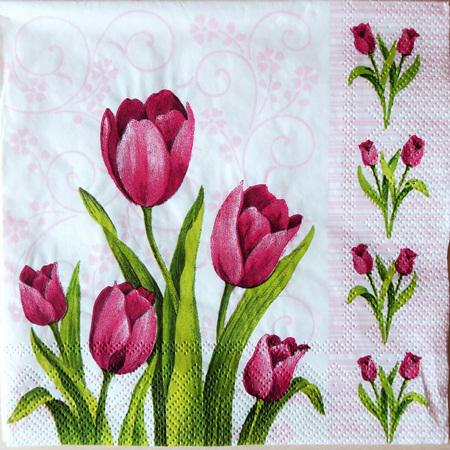 Szalvéta – tulipánok