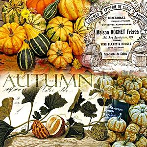 Szalvéta Autumn pumpkins