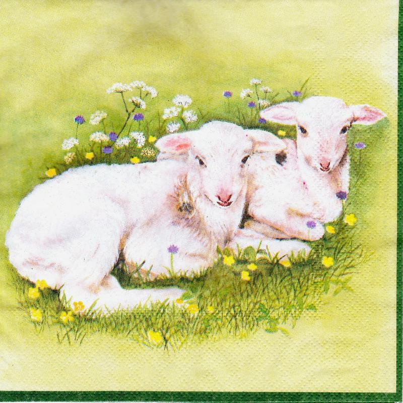 Szalvéta - bárányok a fűben