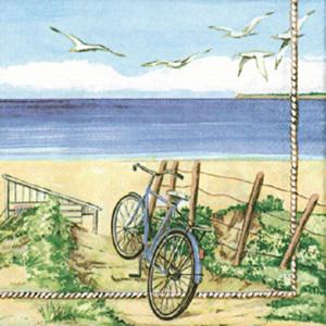 Szalvéta, Beach bicycle