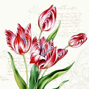 Szalvéta Classic tulips
