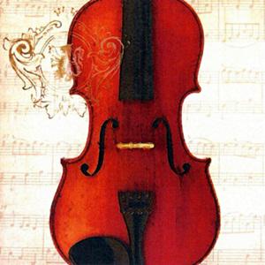 Szalvéta Concerto Violino