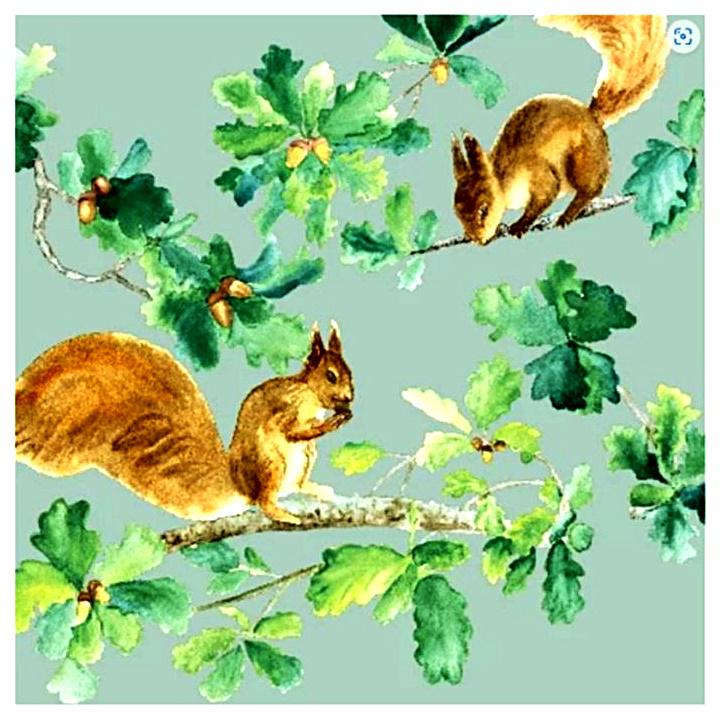 Szalvéta - erdei mókusok