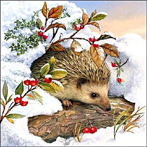 Szalvéta Hedgehog in snow