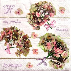 Szalvéta Hydrangea Flowers