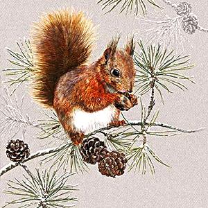 Szalvéta Squirrel in winter