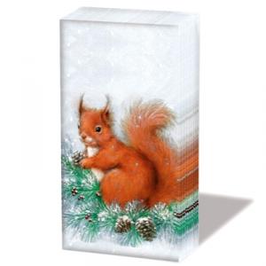 Papírzsepi – Squirrel on tree