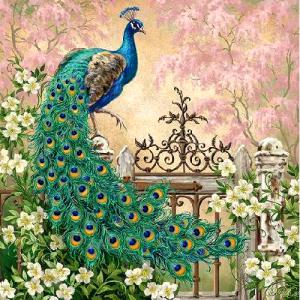 Szalvéta – Noble peacock
