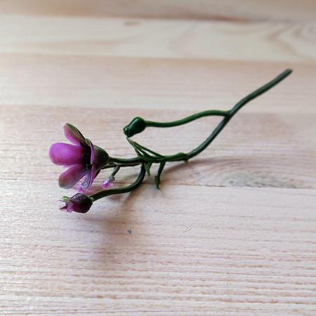Virágszálacska, mályvalila. Teljes hossza: 10 cm, virág mérete: 15x15 mm