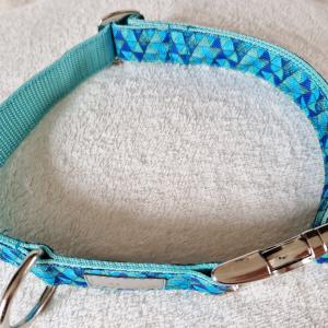 Caribe kutyanyakörv