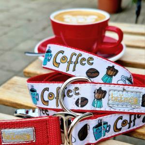 Cortado kutyapóráz