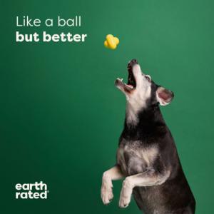 Earth Rated Fetch Toy