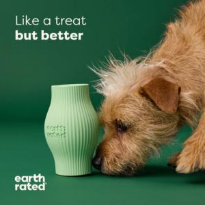 Earth Rated Treat Toy