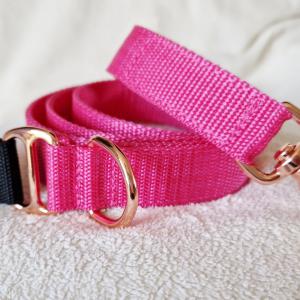 Magenta strapabíró kutyapóráz