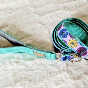 Mandala Mint kutyapóráz