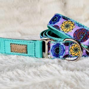 Mandala Mint kutyapóráz