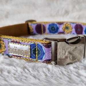 Mandala Mustard kutyanyakörv