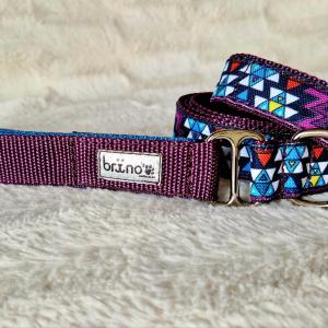 Passiflora (Mexicana)