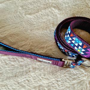 Passiflora (Mexicana)