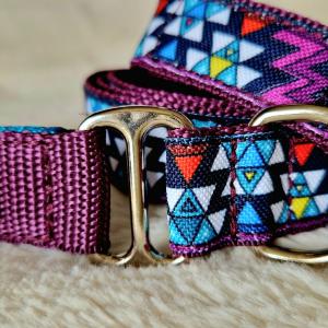 Passiflora (Mexicana)