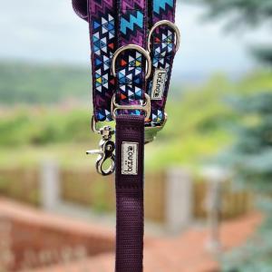 Passiflora (Mexicana)