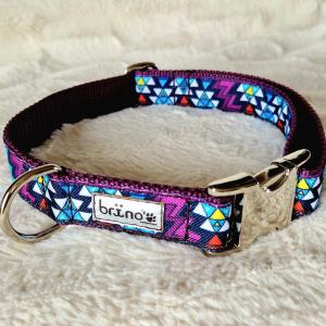 Passiflora (Mexicana)