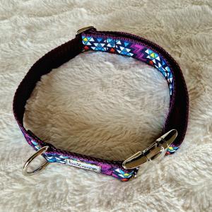 Passiflora (Mexicana)