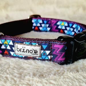 Passiflora (Mexicana)