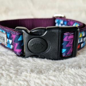 Passiflora (Mexicana)