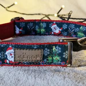 Santa kutyanyakörv