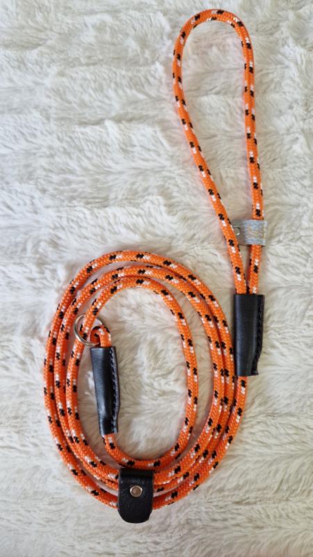 Nemo