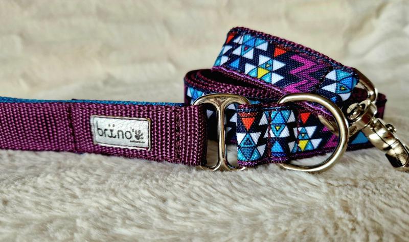 Passiflora (Mexicana)