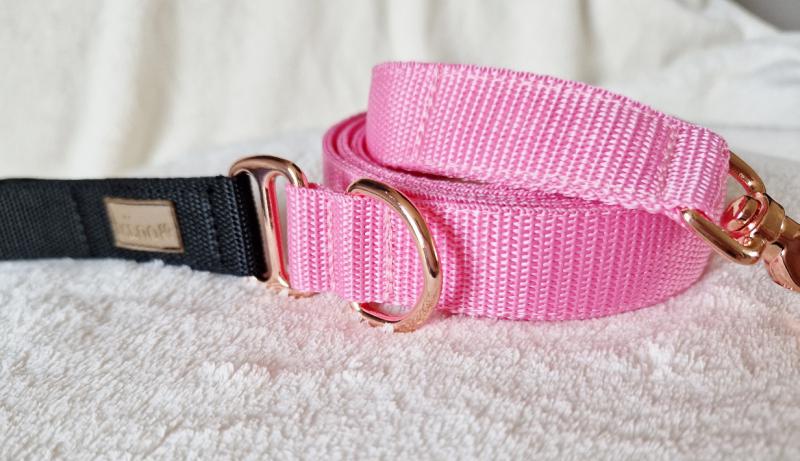 Rosé strapabíró kutyapóráz