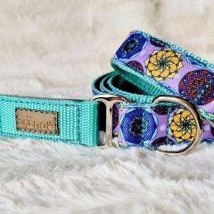 Mandala Mint kutyapóráz