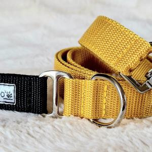 Mustard strapabíró kutyapóráz