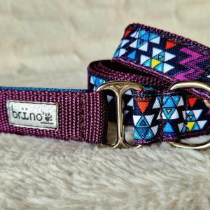 Passiflora (Mexicana)