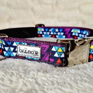 Passiflora (Mexicana)