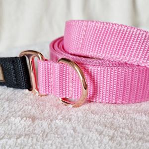 Rosé strapabíró kutyapóráz
