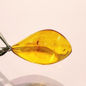 Borostyán medál hullámos pici szúnyoggal 318