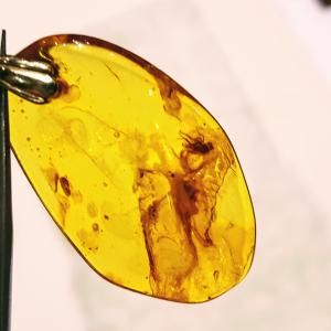 Borostyán medál zárvánnyal ezüst akasztóval Jubilex 434